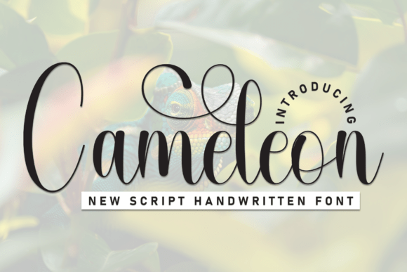 Cameleon: A Handwritten Display Font for Creative Web Design