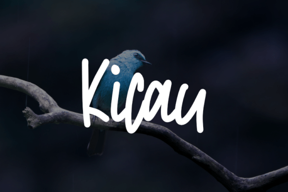 Enhance Your Brand with Kicau: A Versatile and Elegant Typeface