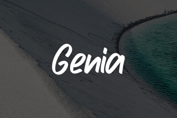 Genia: A Versatile Font for Modern Web Design