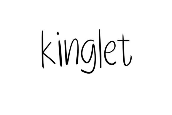 Kinglet: A Fun, Handwritten Font for Your Brand's Voice